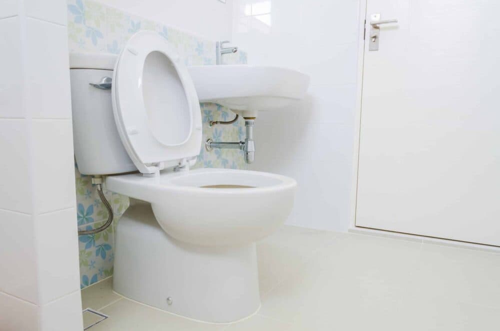 Toilet in Sugarland, TX