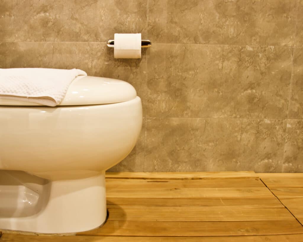 Toilet in Sugarland, TX.