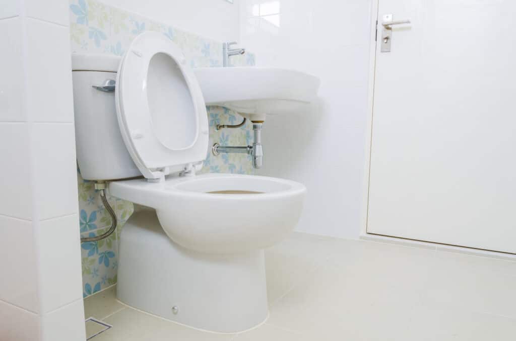 Toilet in Sugarland, TX