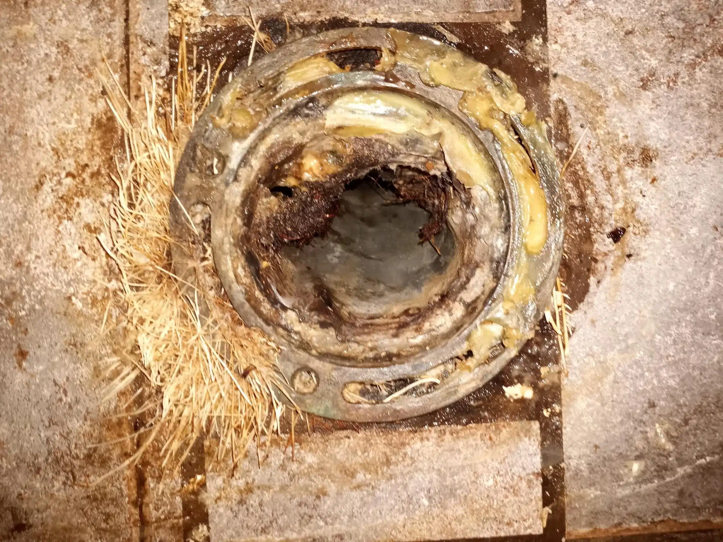 Commercial Drain Stoppage
