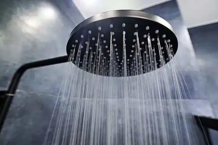 Shower head in Sugar Land, TX.